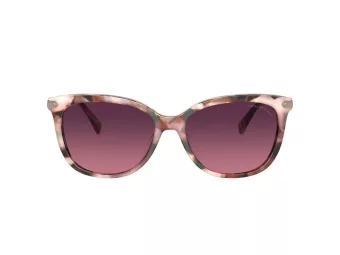 Coach Cl926 Lunettes de Soleil HC 8378U 5528F4