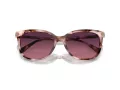 Coach Cl926 Lunettes de Soleil HC 8378U 5528F4