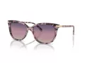 Coach Cl926 Lunettes de Soleil HC 8378U 5777U6