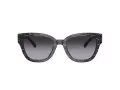 Coach Cl920 Lunettes de Soleil HC 8379U 55208G