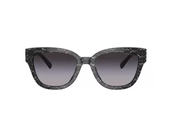 Coach Cl920 Lunettes de Soleil HC 8379U 55208G