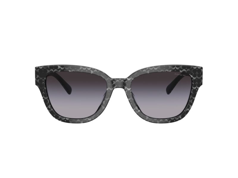 Coach Cl920 Lunettes de Soleil HC 8379U 55208G
