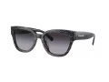 Coach Cl920 Lunettes de Soleil HC 8379U 55208G