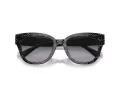 Coach Cl920 Lunettes de Soleil HC 8379U 55208G