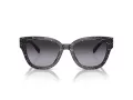 Coach Cl920 Lunettes de Soleil HC 8379U 55208G