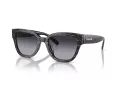 Coach Cl920 Lunettes de Soleil HC 8379U 55208G