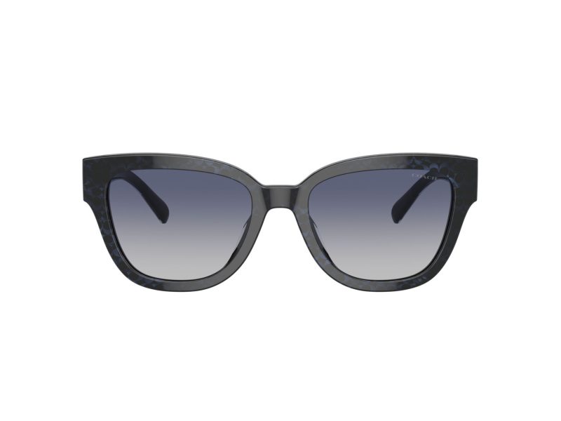Coach Cl920 Lunettes de Soleil HC 8379U 57654L