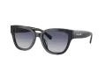 Coach Cl920 Lunettes de Soleil HC 8379U 57654L