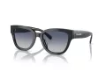 Coach Cl920 Lunettes de Soleil HC 8379U 57654L