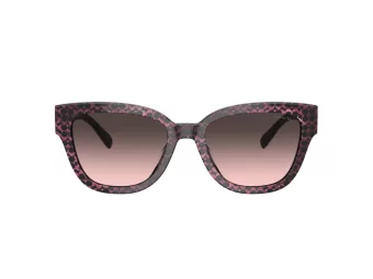 Coach Cl920 Lunettes de Soleil HC 8379U 578346