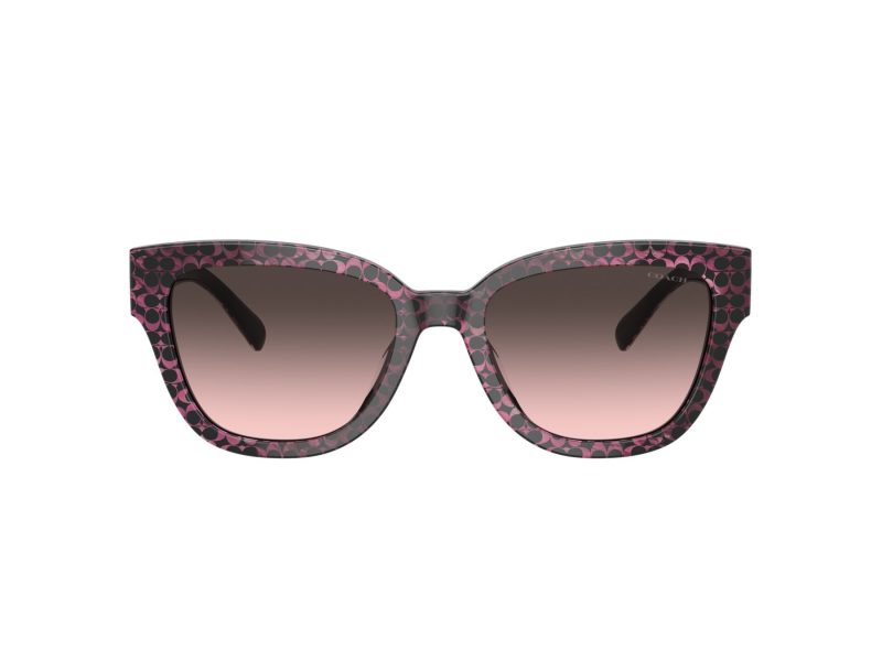 Coach Cl920 Lunettes de Soleil HC 8379U 578346