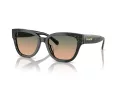 Coach Cl920 Lunettes de Soleil HC 8379U 578413