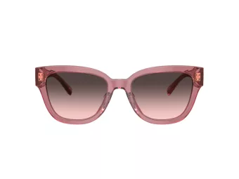 Coach Cl920 Lunettes de Soleil HC 8379U 580046