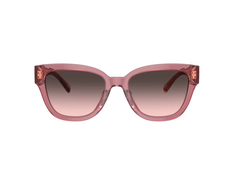 Coach Cl920 Lunettes de Soleil HC 8379U 580046