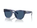 Coach Cl920 Lunettes de Soleil HC 8379U 583755