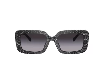 Coach Cl922 Lunettes de Soleil HC 8380U 55208G