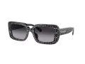 Coach Cl922 Lunettes de Soleil HC 8380U 55208G