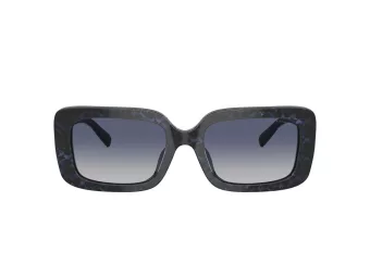 Coach Cl922 Lunettes de Soleil HC 8380U 57654L
