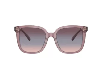 Coach Cl918 Lunettes de Soleil HC 8381U 57820J