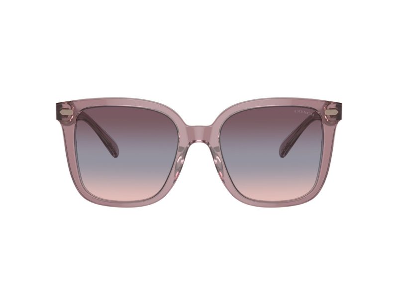 Coach Cl918 Lunettes de Soleil HC 8381U 57820J