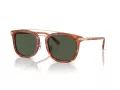 Coach Cl913 Lunettes de Soleil HC 8382 577482