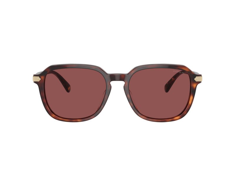 Coach Cl912 Lunettes de Soleil HC 8383U 579875