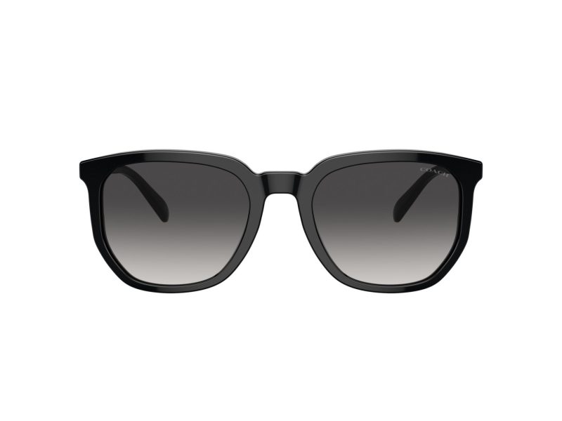 Coach Cl911 Lunettes de Soleil HC 8384U 50028G