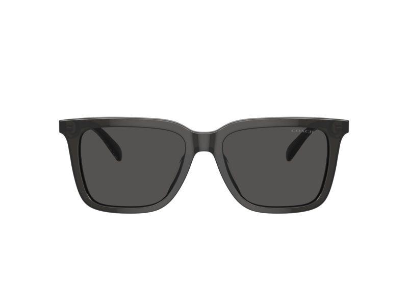 Coach Cl910 Lunettes de Soleil HC 8385U 579387
