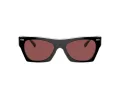 Coach Cl917 Lunettes de Soleil HC 8389U 572875