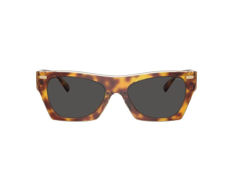 Coach Cl917 Lunettes de Soleil HC 8389U 575687