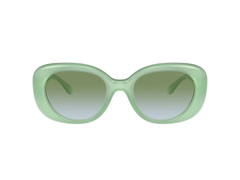 Coach Cr609 Lunettes de Soleil HC 8391U 5807I7