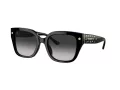 Coach Cr611 Lunettes de Soleil HC 8392U 50023C