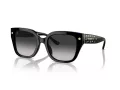 Coach Cr611 Lunettes de Soleil HC 8392U 50023C