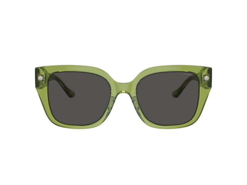 Coach Cr611 Lunettes de Soleil HC 8392U 581087