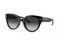Coach Cr612 Lunettes de Soleil HC 8393U 50023C