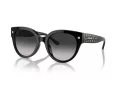 Coach Cr612 Lunettes de Soleil HC 8393U 50023C