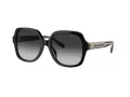 Coach Cr614 Lunettes de Soleil HC 8395U 50023C