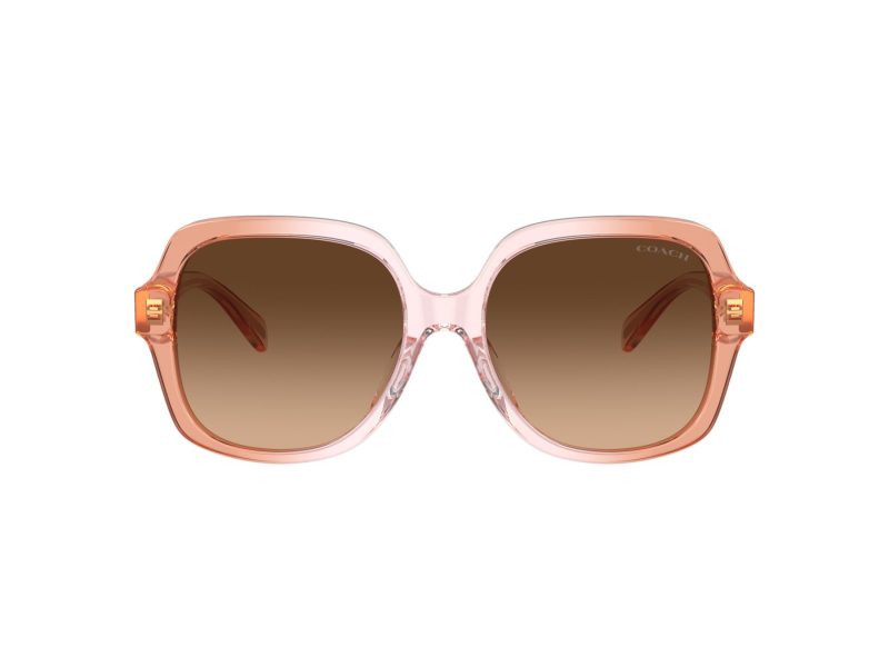 Coach Cr614 Lunettes de Soleil HC 8395U 581274