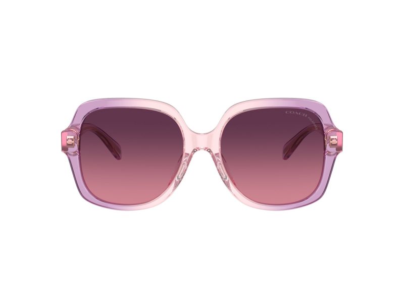 Coach Cr614 Lunettes de Soleil HC 8395U 5813F4