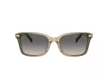 Coach Cr630 Lunettes de Soleil HC 8398U 5797G9