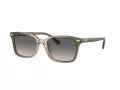 Coach Cr630 Lunettes de Soleil HC 8398U 5797G9