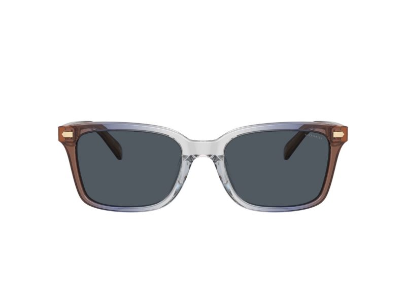 Coach Cr630 Lunettes de Soleil HC 8398U 581587