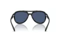 Coach Cw183 Lunettes de Soleil HC 8406U 500287