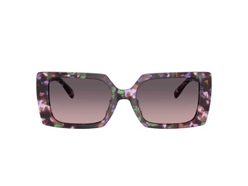 Coach Cw224 Lunettes de Soleil HC 8409U 584346