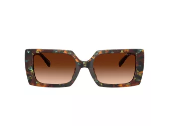 Coach Cw224 Lunettes de Soleil HC 8409U 584474