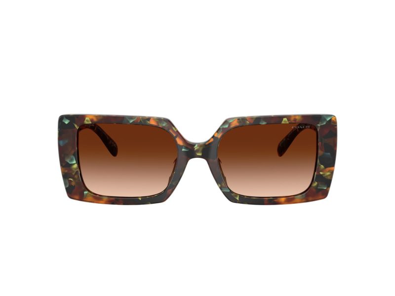Coach Cw224 Lunettes de Soleil HC 8409U 584474