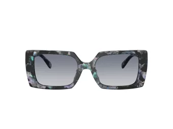 Coach Cw224 Lunettes de Soleil HC 8409U 584535