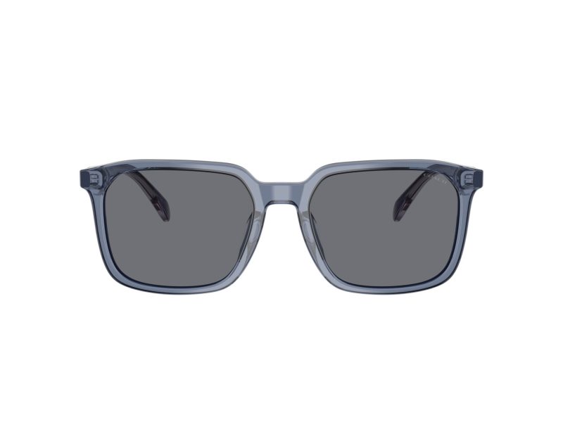 Coach Cw405 Lunettes de Soleil HC 8411U 582087