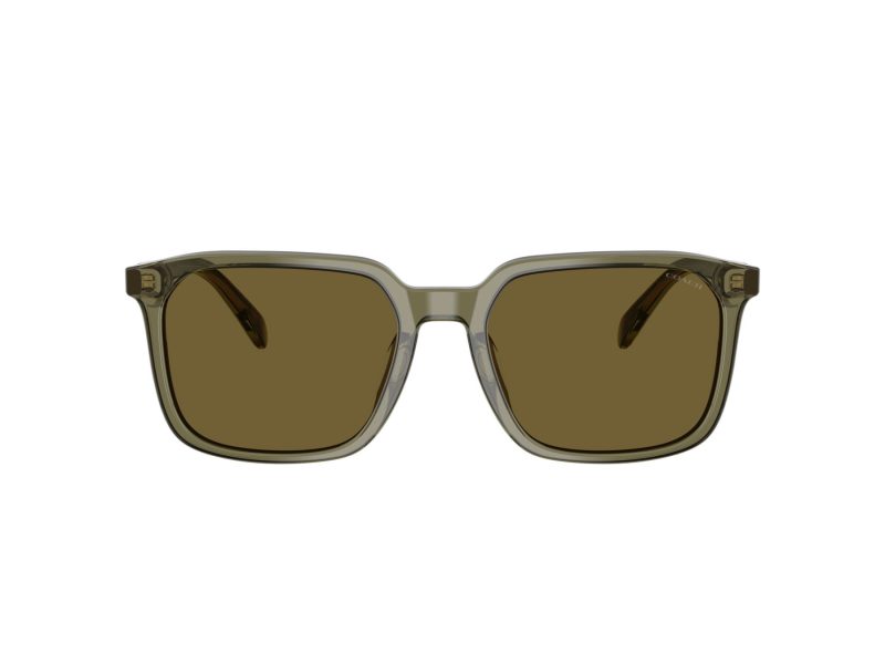 Coach Cw405 Lunettes de Soleil HC 8411U 5848S7