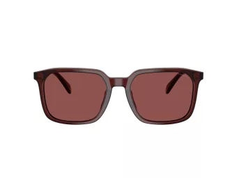 Coach Cw405 Lunettes de Soleil HC 8411U 585075